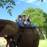 Audrey Patterson (10)